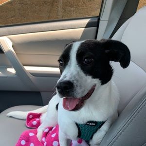 Meet your Posher, Lisa